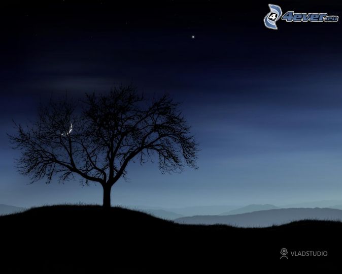 Paysage de nuit, arbre solitaire